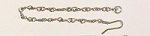 Police chain & hook